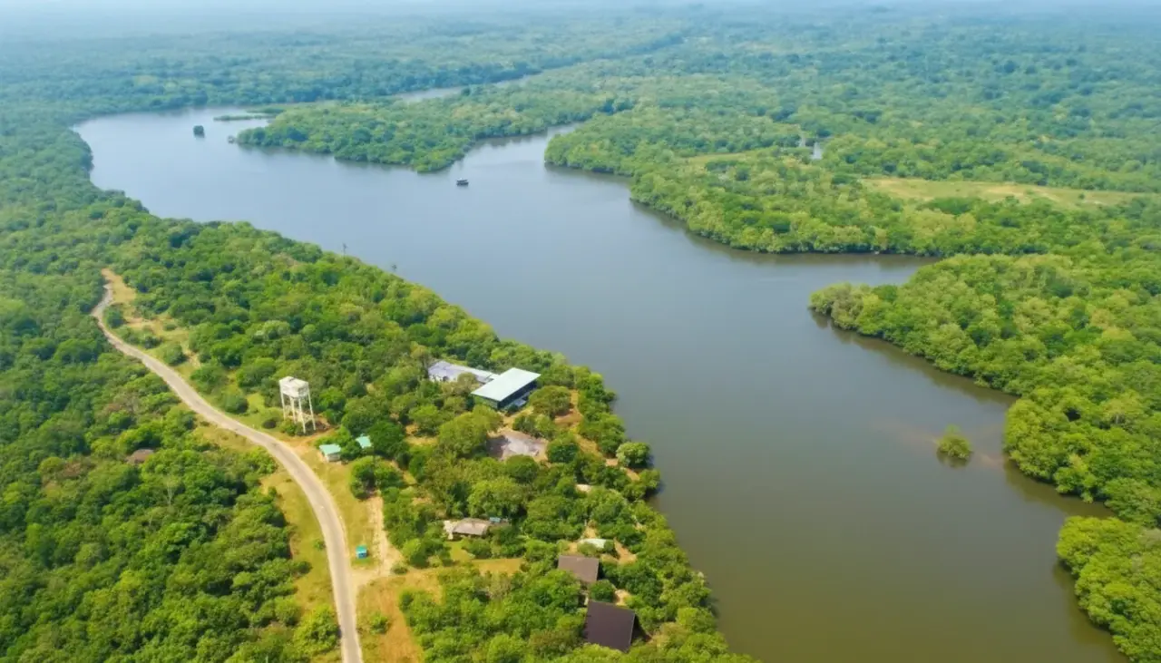 Maritimepattu Nature Area